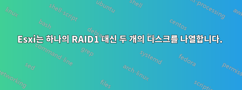 Esxi는 하나의 RAID1 대신 두 개의 디스크를 나열합니다.