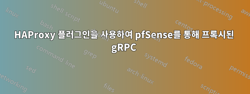 HAProxy 플러그인을 사용하여 pfSense를 통해 프록시된 gRPC