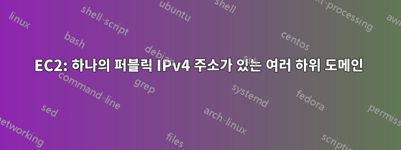 EC2: 하나의 퍼블릭 IPv4 주소가 있는 여러 하위 도메인