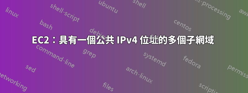 EC2：具有一個公共 IPv4 位址的多個子網域