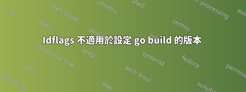 Idflags 不適用於設定 go build 的版本