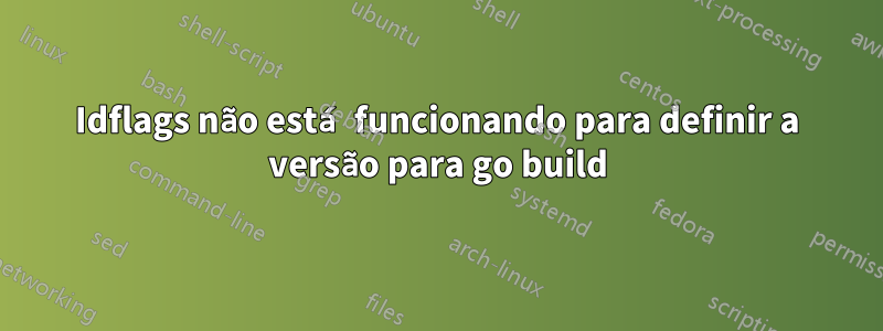 Idflags não está funcionando para definir a versão para go build