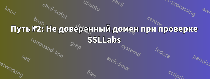 Путь №2: Не доверенный домен при проверке SSLLabs