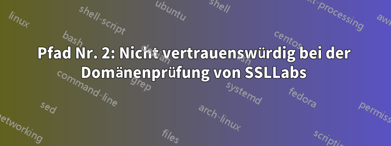 Pfad Nr. 2: Nicht vertrauenswürdig bei der Domänenprüfung von SSLLabs