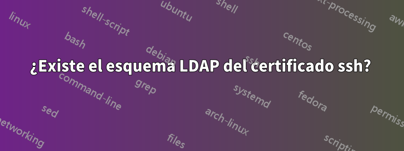 ¿Existe el esquema LDAP del certificado ssh?
