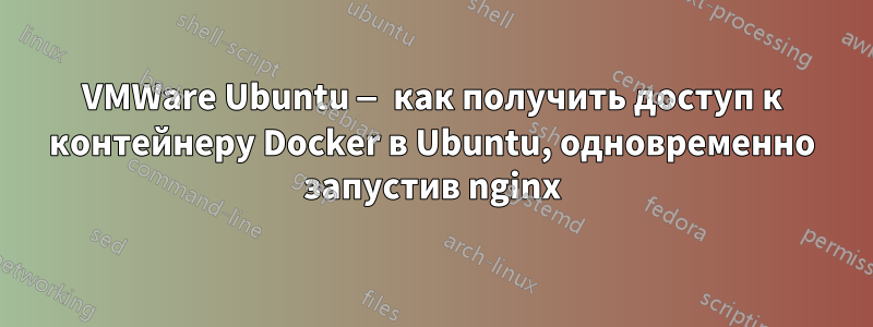 VMWare Ubuntu — как получить доступ к контейнеру Docker в Ubuntu, одновременно запустив nginx