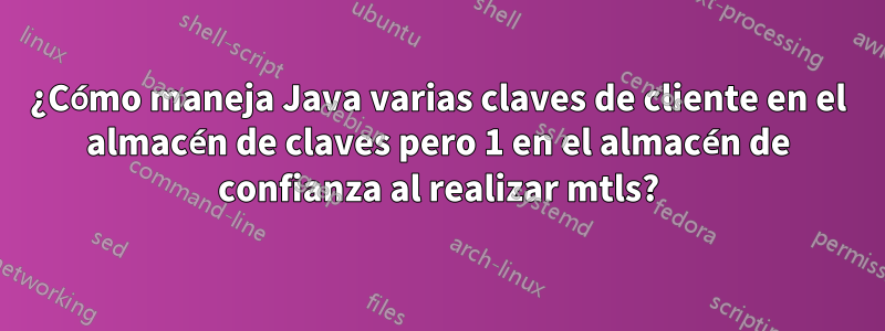 ¿Cómo maneja Java varias claves de cliente en el almacén de claves pero 1 en el almacén de confianza al realizar mtls?
