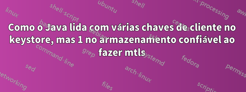Como o Java lida com várias chaves de cliente no keystore, mas 1 no armazenamento confiável ao fazer mtls