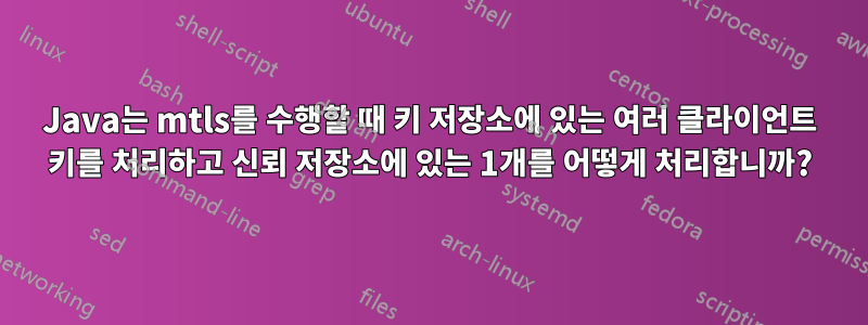 Java는 mtls를 수행할 때 키 저장소에 있는 여러 클라이언트 키를 처리하고 신뢰 저장소에 있는 1개를 어떻게 처리합니까?