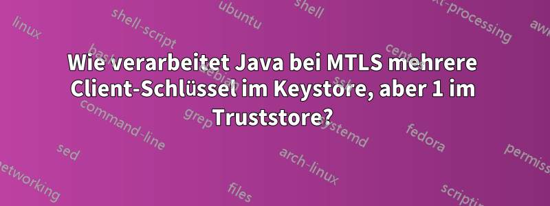 Wie verarbeitet Java bei MTLS mehrere Client-Schlüssel im Keystore, aber 1 im Truststore?