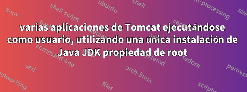 varias aplicaciones de Tomcat ejecutándose como usuario, utilizando una única instalación de Java JDK propiedad de root