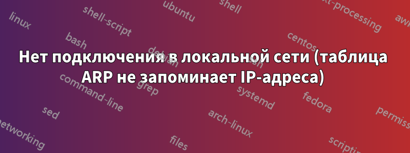 Нет подключения в локальной сети (таблица ARP не запоминает IP-адреса)