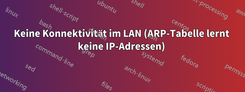 Keine Konnektivität im LAN (ARP-Tabelle lernt keine IP-Adressen)