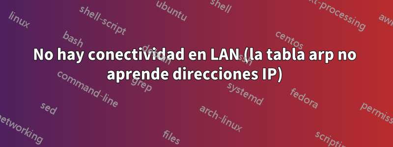 No hay conectividad en LAN (la tabla arp no aprende direcciones IP)