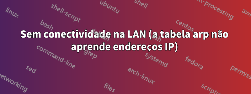 Sem conectividade na LAN (a tabela arp não aprende endereços IP)