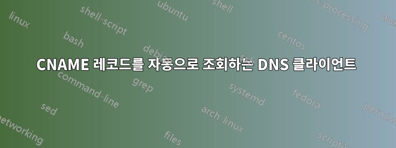 CNAME 레코드를 자동으로 조회하는 DNS 클라이언트