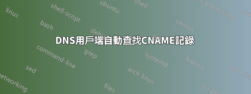 DNS用戶端自動查找CNAME記錄