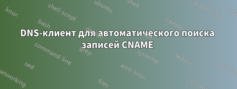 DNS-клиент для автоматического поиска записей CNAME