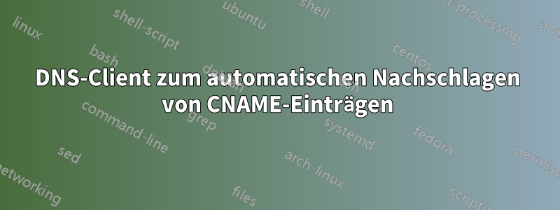 DNS-Client zum automatischen Nachschlagen von CNAME-Einträgen