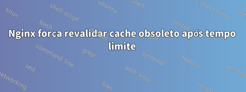 Nginx força revalidar cache obsoleto após tempo limite