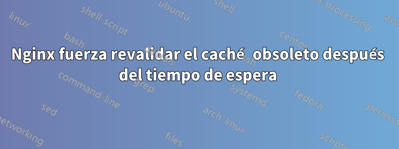 Nginx fuerza revalidar el caché obsoleto después del tiempo de espera