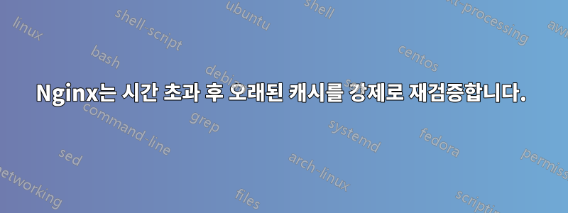 Nginx는 시간 초과 후 오래된 캐시를 강제로 재검증합니다.