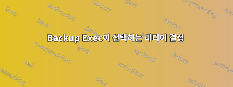 Backup Exec이 선택하는 미디어 결정