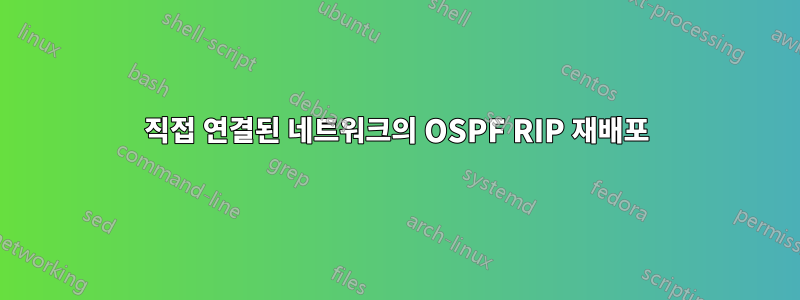 직접 연결된 네트워크의 OSPF RIP 재배포