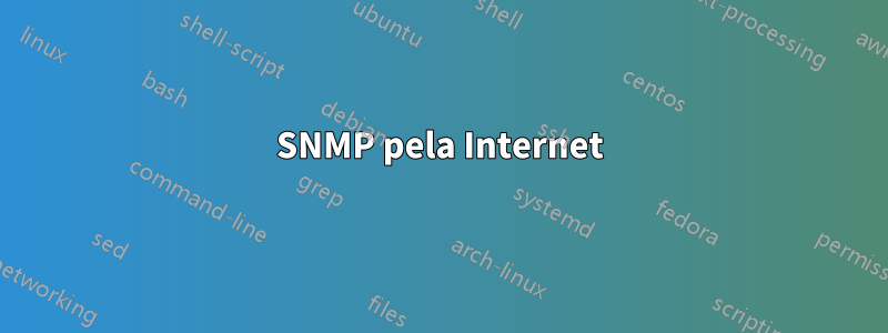 SNMP pela Internet