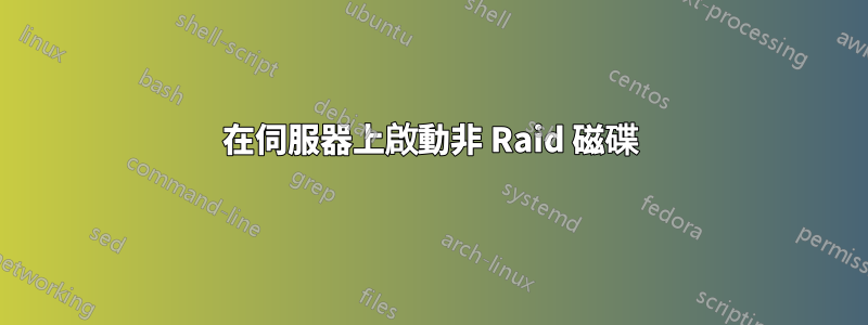 在伺服器上啟動非 Raid 磁碟