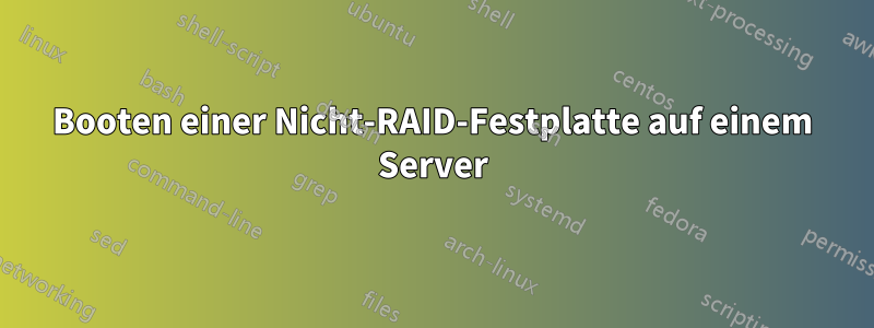 Booten einer Nicht-RAID-Festplatte auf einem Server