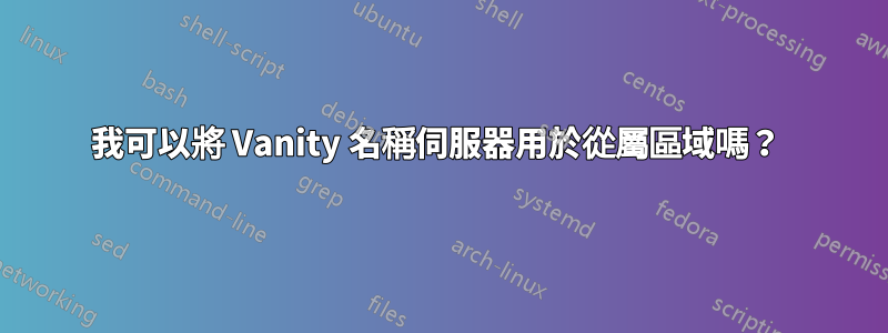 我可以將 Vanity 名稱伺服器用於從屬區域嗎？ 