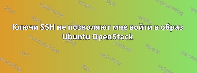 Ключи SSH не позволяют мне войти в образ Ubuntu OpenStack