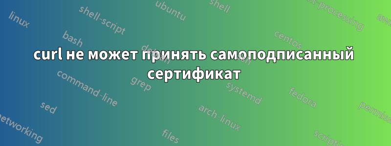 curl не может принять самоподписанный сертификат