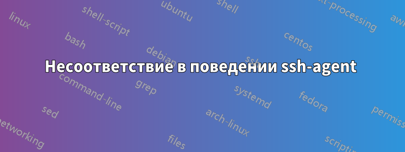 Несоответствие в поведении ssh-agent