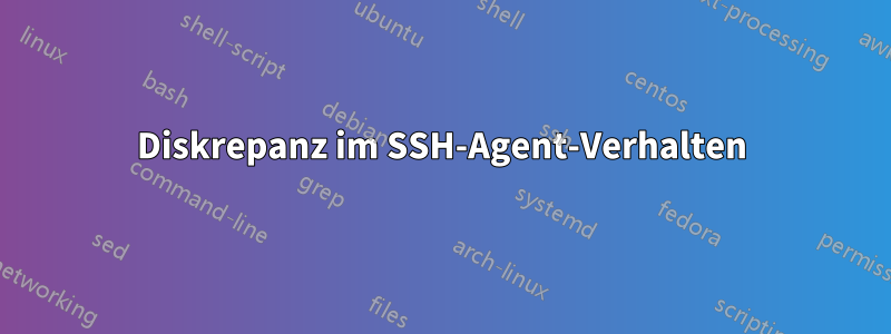 Diskrepanz im SSH-Agent-Verhalten