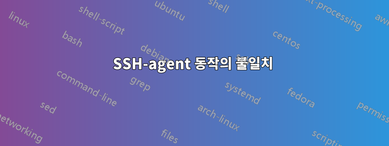 SSH-agent 동작의 불일치