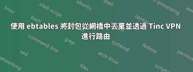 使用 ebtables 將封包從網橋中丟棄並透過 Tinc VPN 進行路由