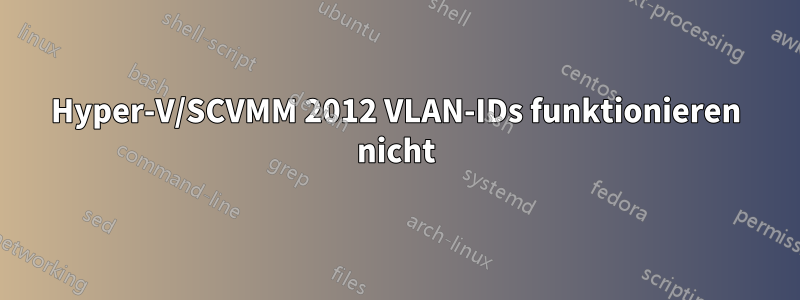 Hyper-V/SCVMM 2012 VLAN-IDs funktionieren nicht