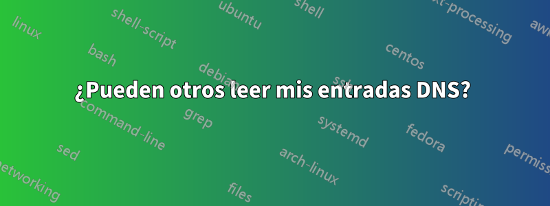 ¿Pueden otros leer mis entradas DNS?