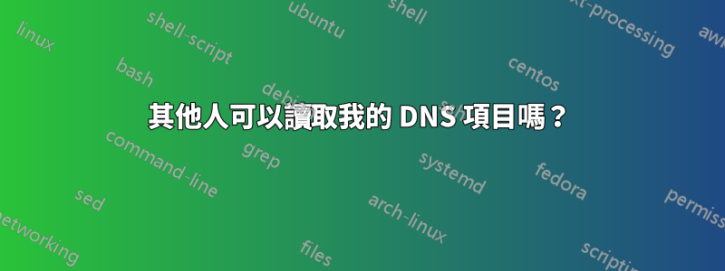 其他人可以讀取我的 DNS 項目嗎？