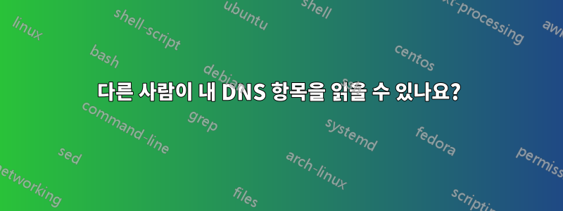 다른 사람이 내 DNS 항목을 읽을 수 있나요?