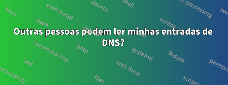 Outras pessoas podem ler minhas entradas de DNS?