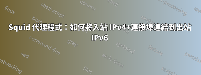 Squid 代理程式：如何將入站 IPv4+連接埠連結到出站 IPv6