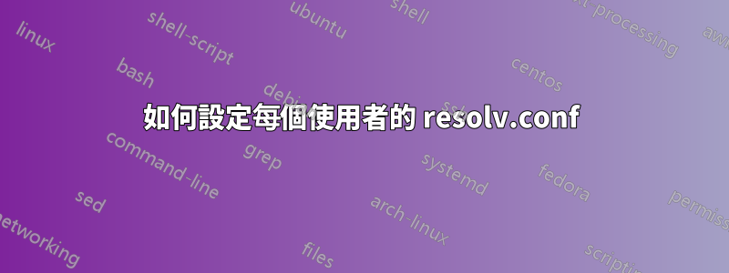 如何設定每個使用者的 resolv.conf