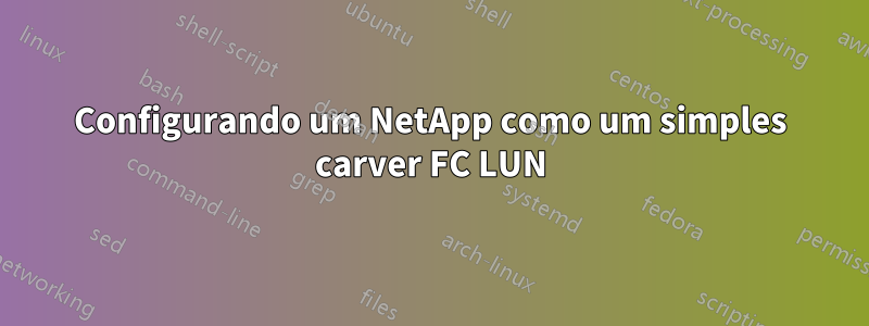 Configurando um NetApp como um simples carver FC LUN