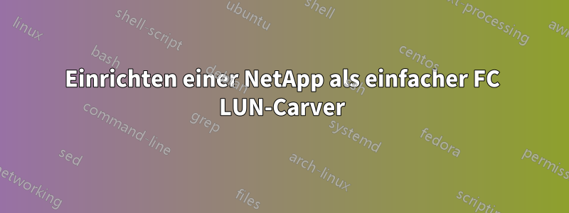 Einrichten einer NetApp als einfacher FC LUN-Carver