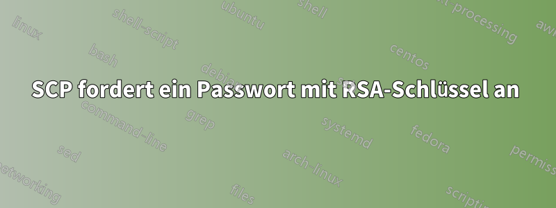 SCP fordert ein Passwort mit RSA-Schlüssel an