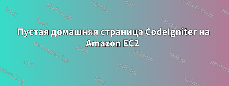 Пустая домашняя страница CodeIgniter на Amazon EC2 