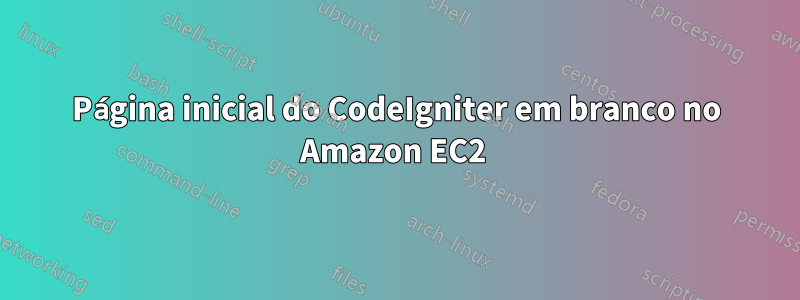 Página inicial do CodeIgniter em branco no Amazon EC2 